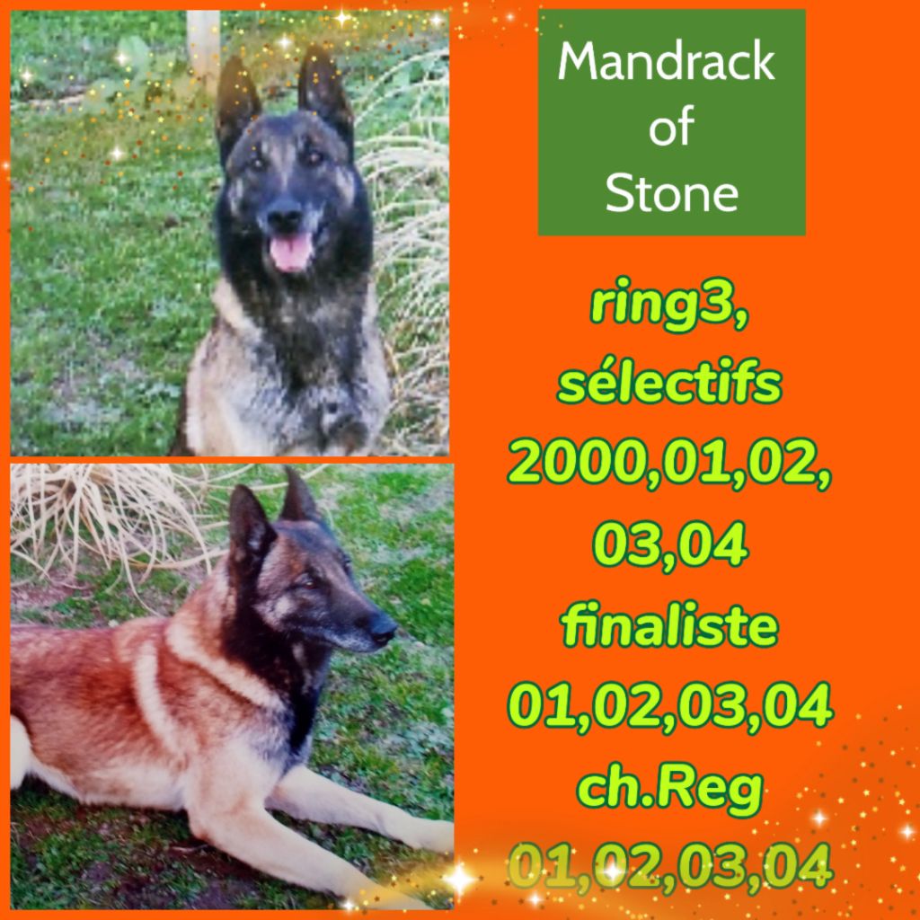 Mandrack of stone (Sans Affixe)